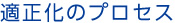 適正化のプロセス