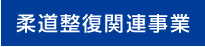 柔道整復関連事業